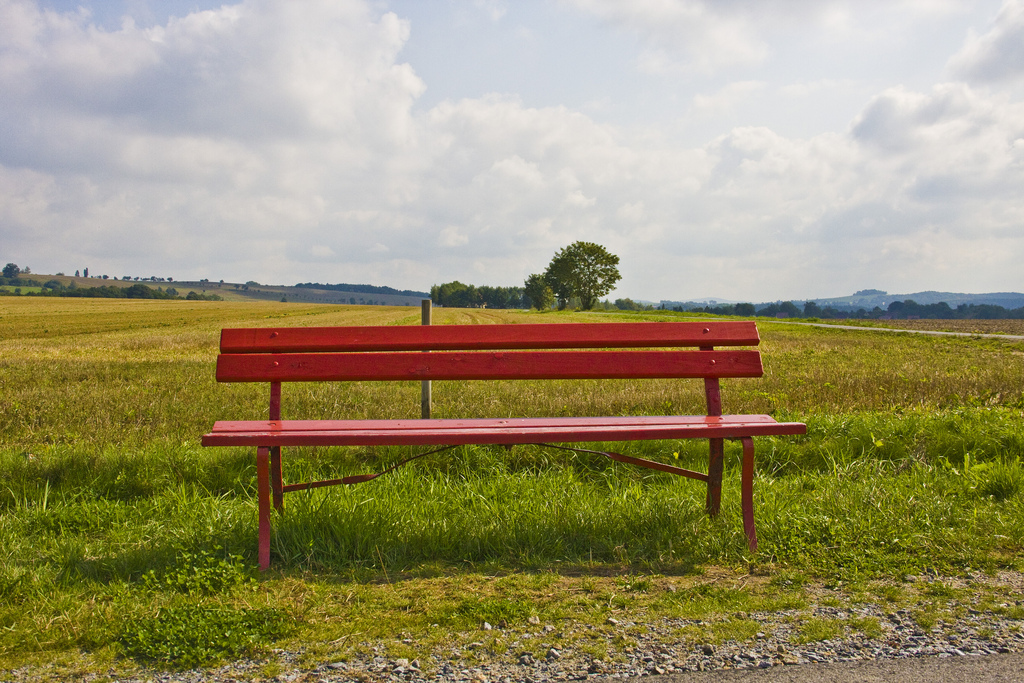 bench_landscape