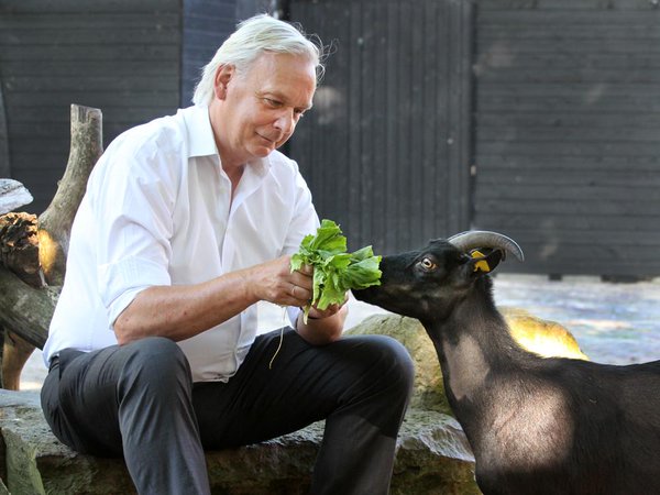 erikdejongbiophilia