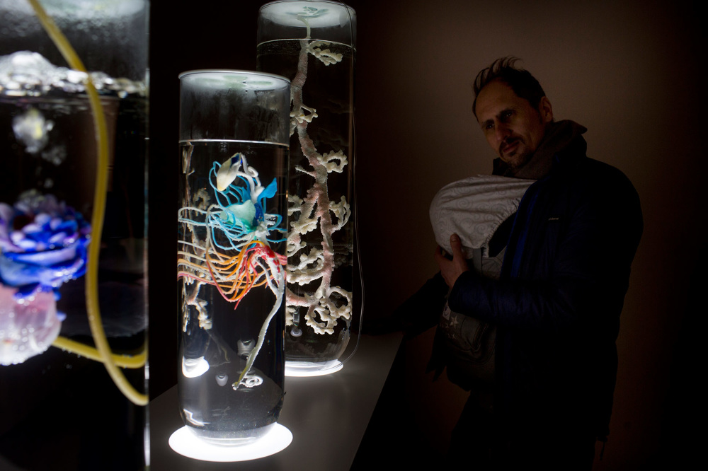 Pinar Yoldas // Carboniferous