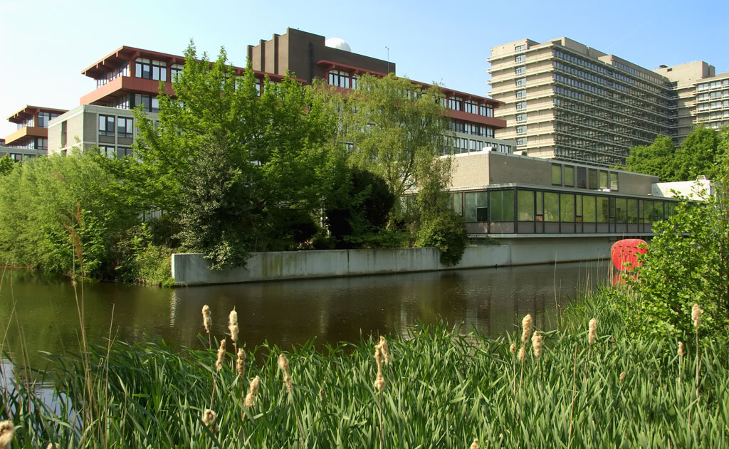 A Blue-Green Roof for Vrije Universiteit Amsterdam