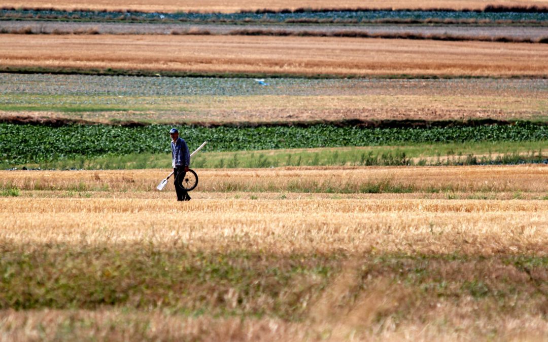 Het Coronavirus, klimaat en droogte: hebben ze met elkaar te maken? – New blog post from our PhD student