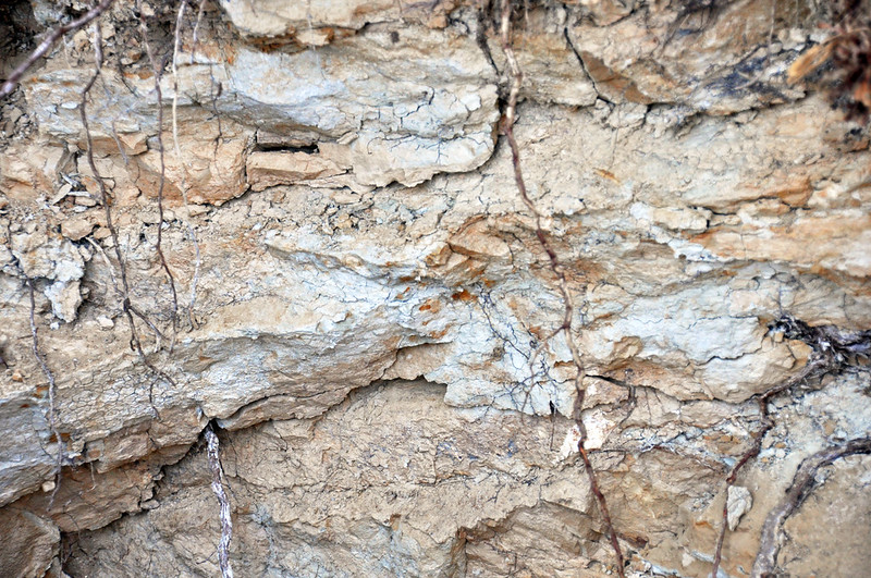 Kathryn Yusoff Lecture: Inhuman Memory