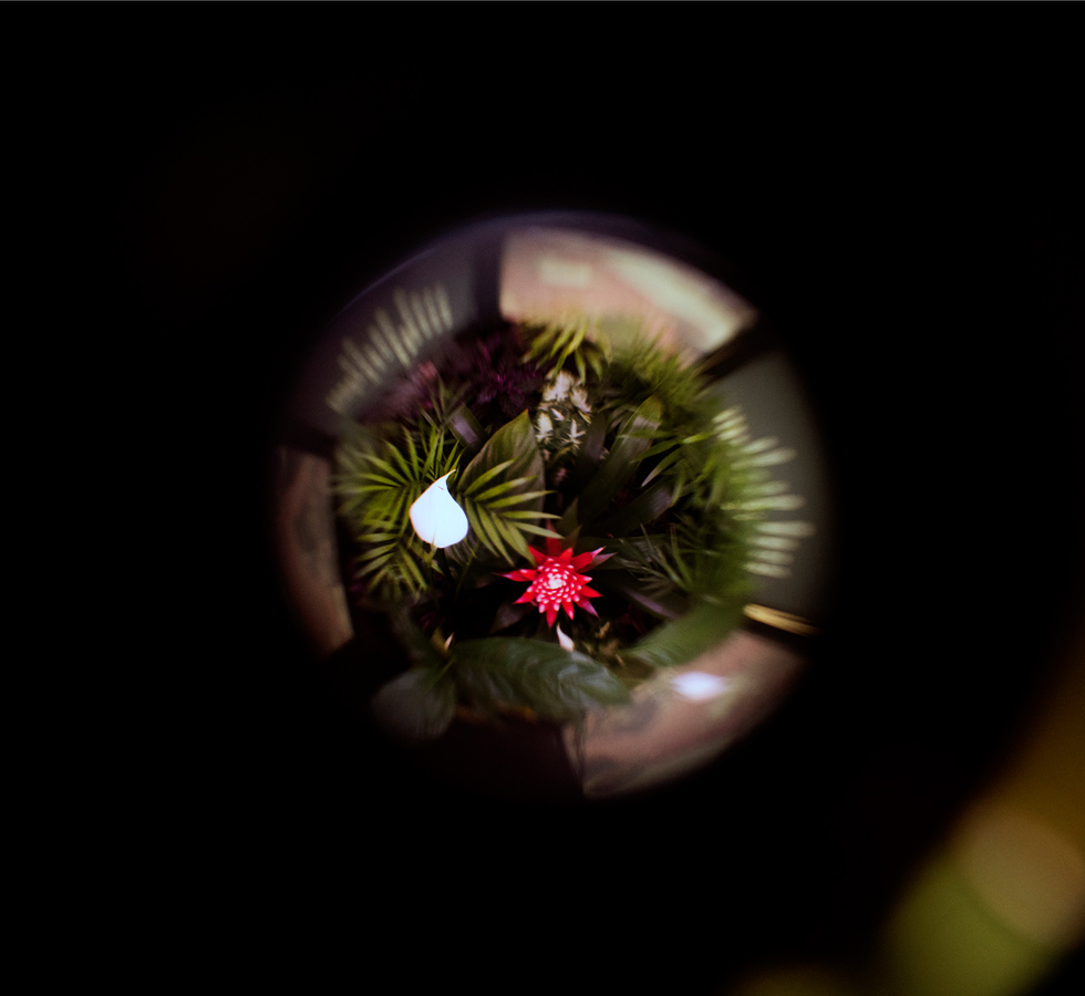 ART SCIENCE Dialogue: Life of Plants with Oscar Santillán