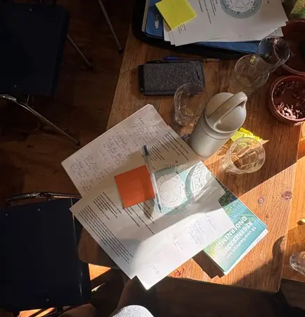 Phd Position: Art and Regenerative Entrepreneurship (closes 15 March 2026)