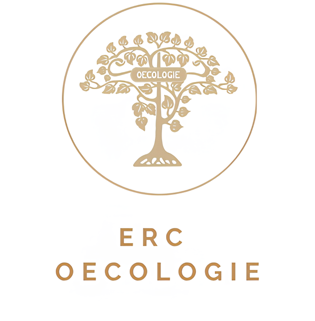 External announcement: 3 ERC PhD Fellowships ‘Oecologie. The German Sources of Ecology’ (closes 10 June 2026)