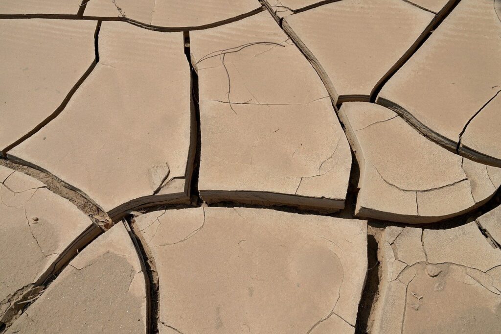 Podcast: Prof. Petra van Dam on Coping with Drought